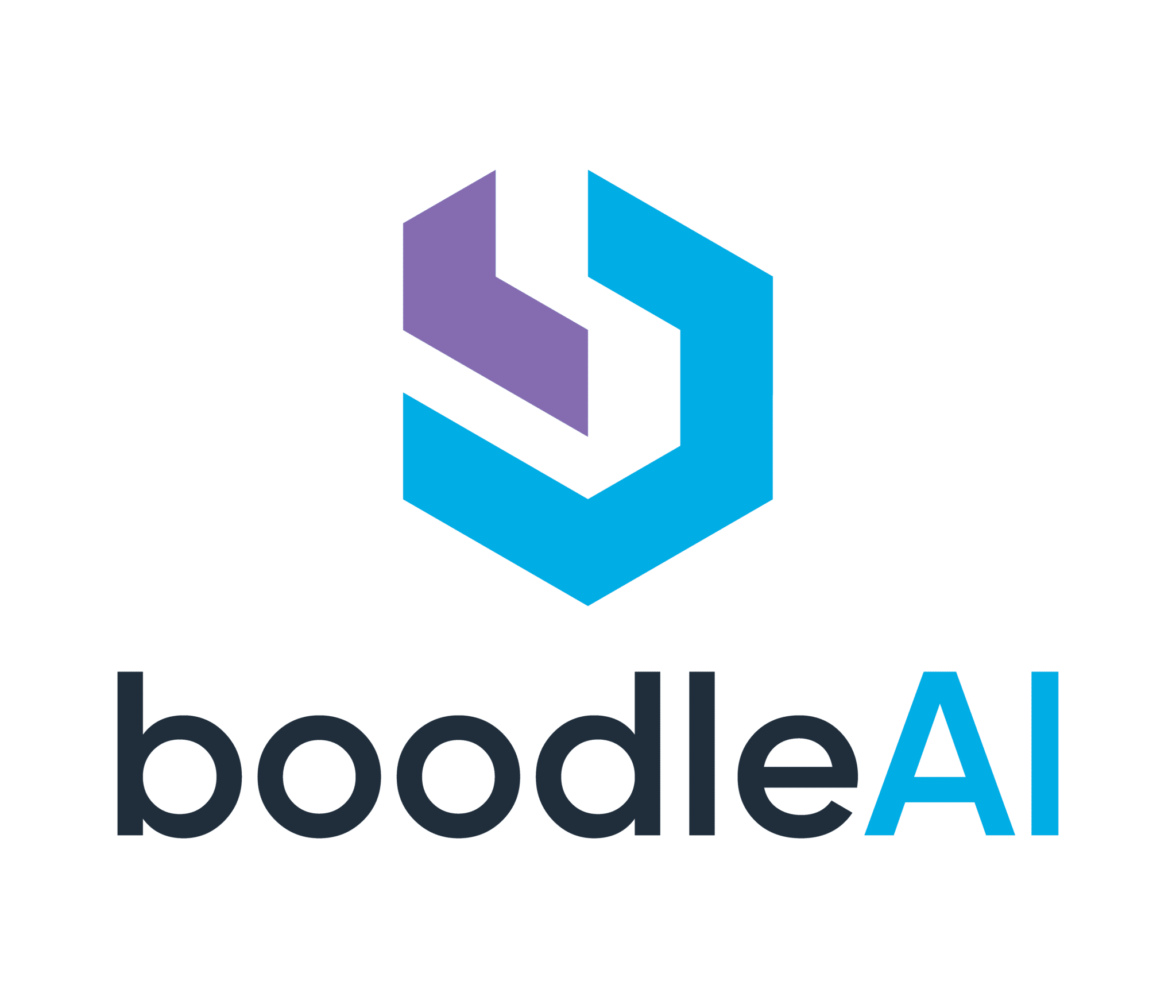 boodleAI logo