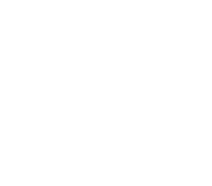 Jewels with Purpose Logo