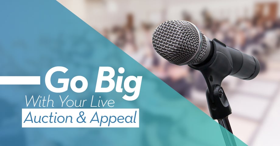 Go Big with your Live Auction & Appeal