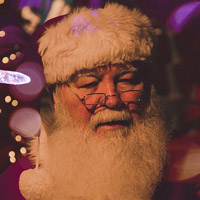 Auction off something everyone will love--a visit from Santa!