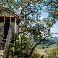 Auction off a custom-built treehouse!