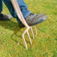 Auction off a lawn work package.