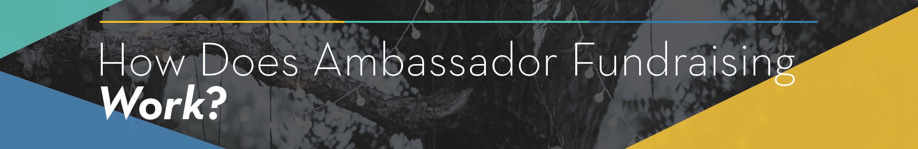 How Does Ambassador Fundraising Work?