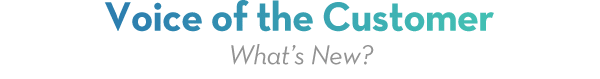 Voice of the Customer