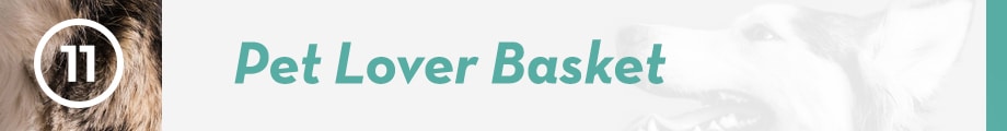 11. Pet Lover Basket