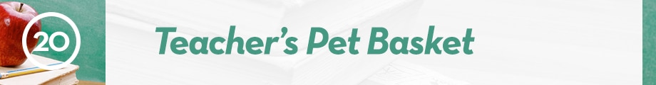 20. Teachers Pet Basket