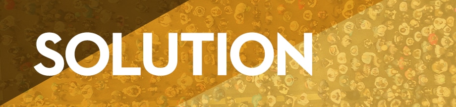 Solution