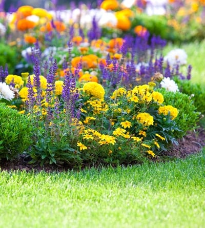 A commemorative donor garden is one of our favorite unique auction item ideas.