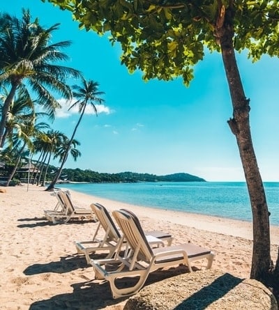 Travel packages are classic showstopping auction items for events of all sizes.