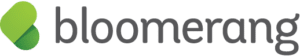 Bloomerang logo