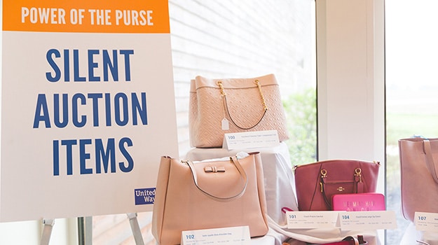 United Way of Champaign County Power of the Purse