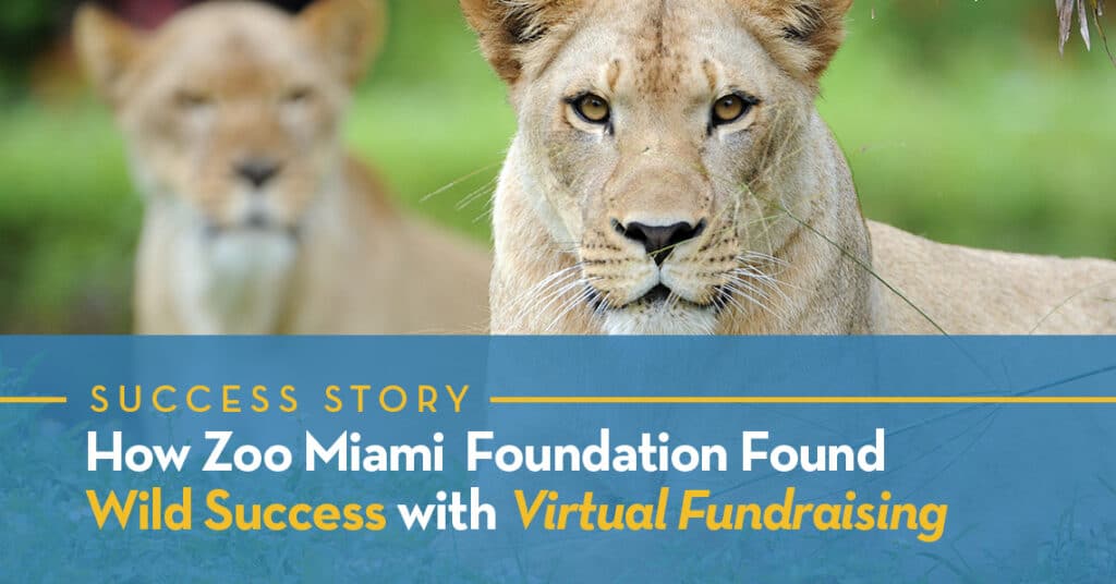 How Zoo Miami Foundation Found Wild Success with Virtual Fundraising
