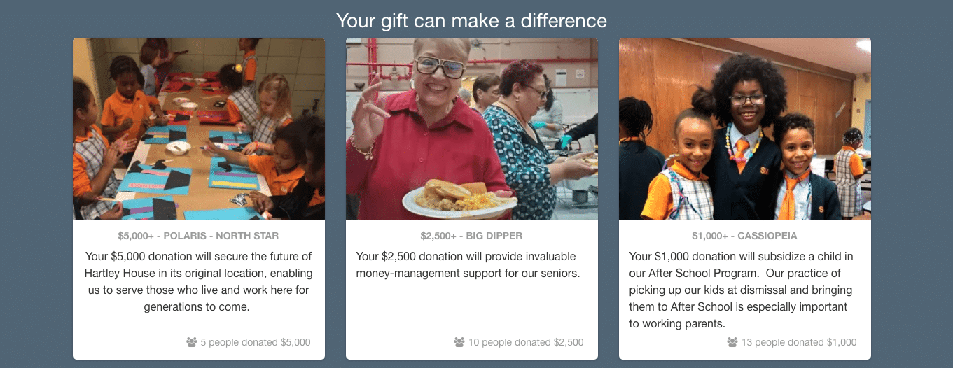 This example online fundraising page shows donors the impact that different giving levels will have.