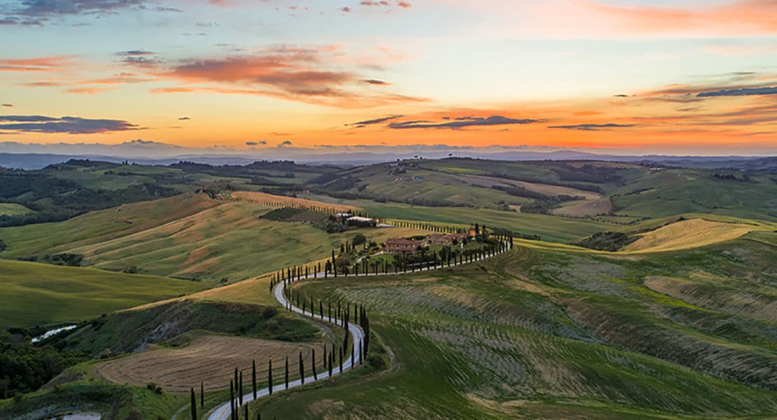 Tuscany Truffle Hunt