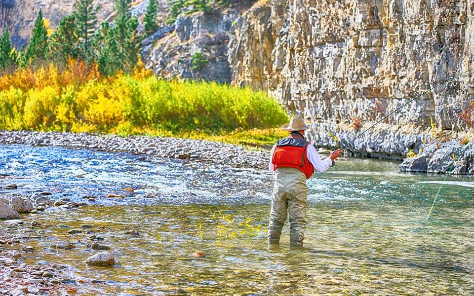 Copy of Copy of HiRes Fly Fish 9