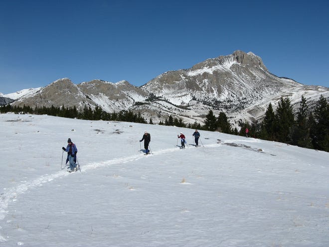 affa3f38-4d0d-44c3-afcc-bae443045224-winter_walks