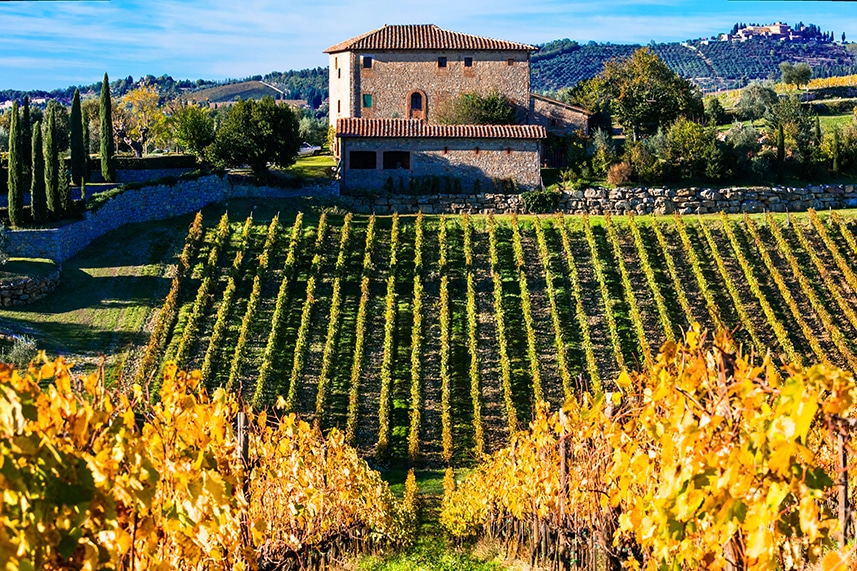 Wine Here, Wine There (1)