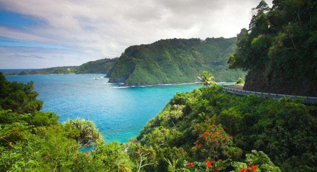 Mahalo Maui