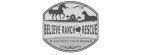 Believe Ranch and Rescue logo