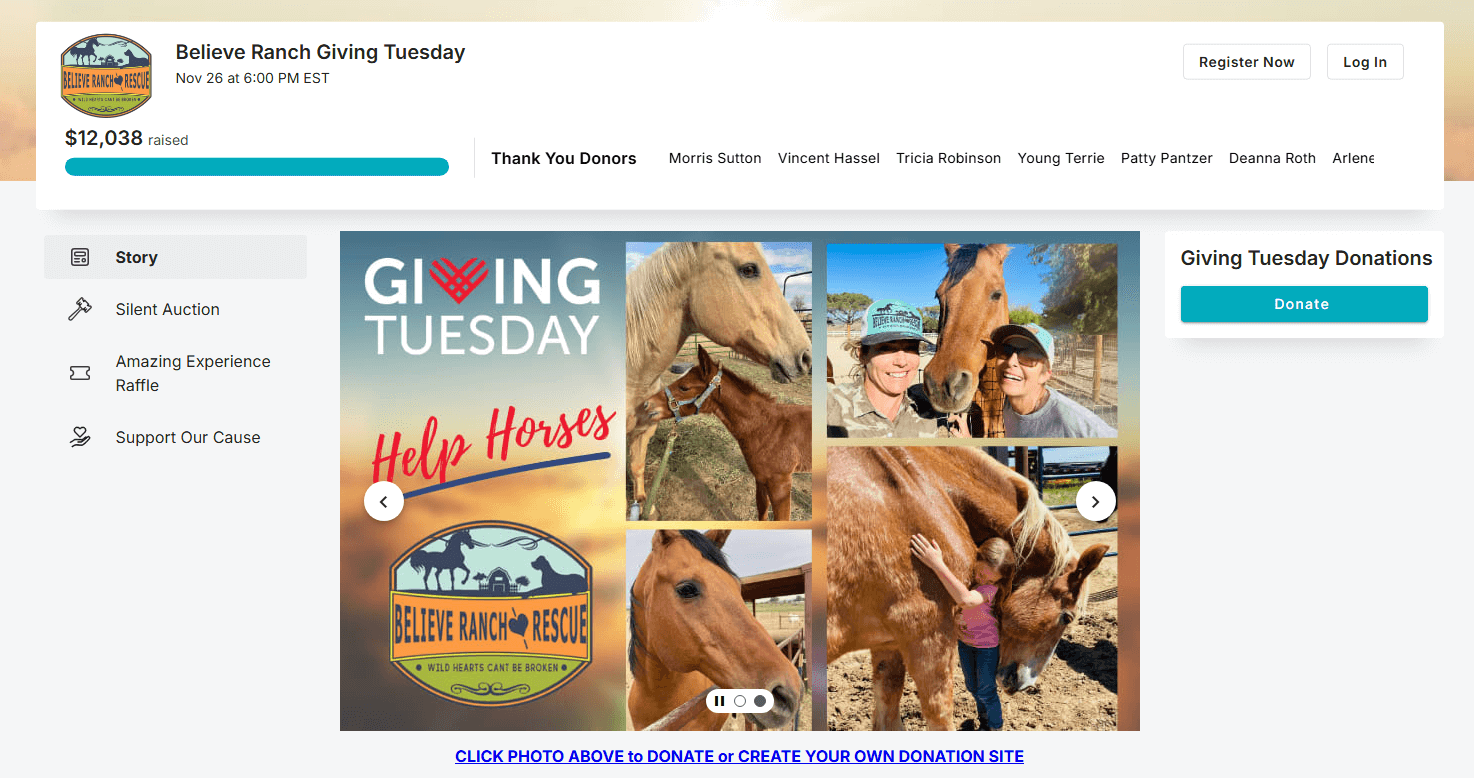 Year-end giving campaign page for Believe Ranch & Rescue