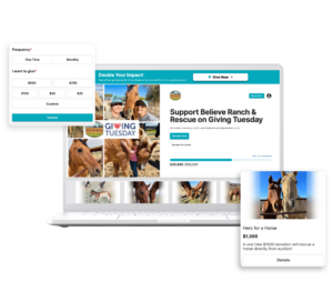 Online giving sites