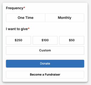 Embed donation forms