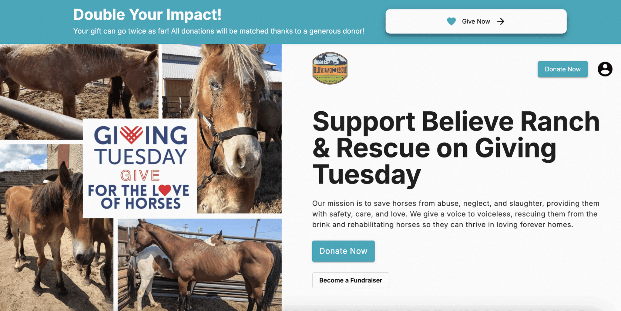 Believe Ranch and Rescue Site example