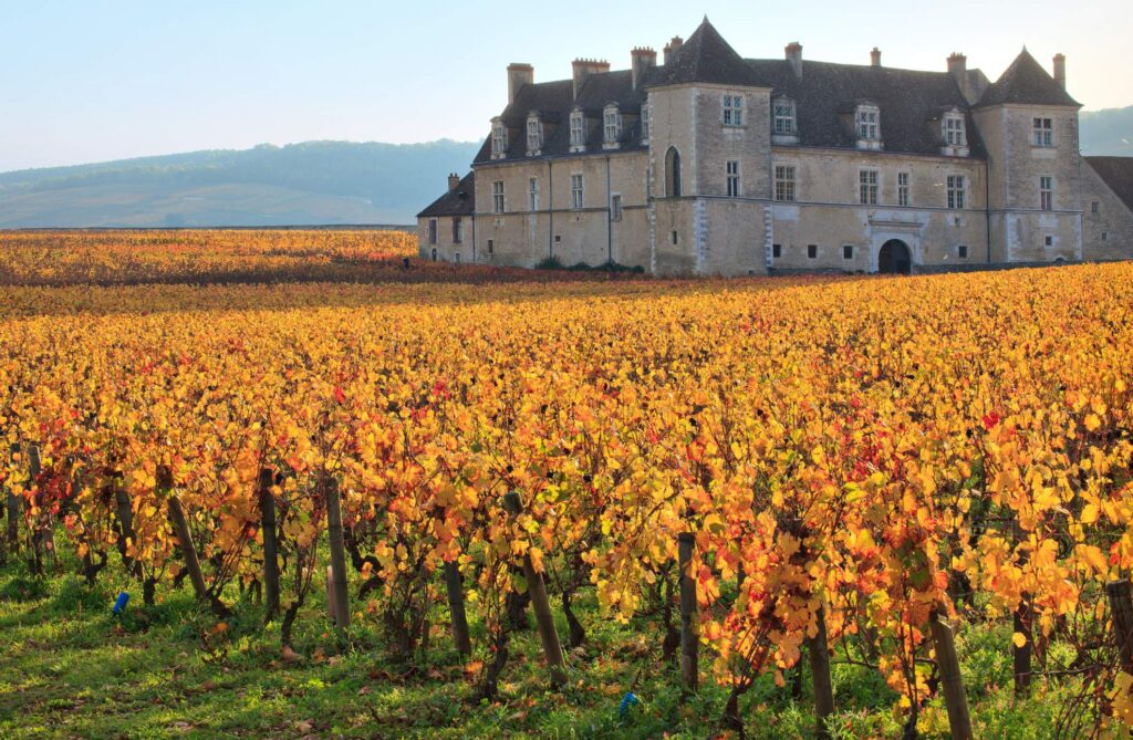 Sip, Savor & Cycle Bordeaux