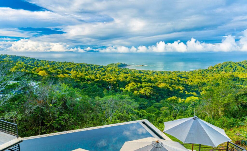 Breathtaking Bahia Ballena