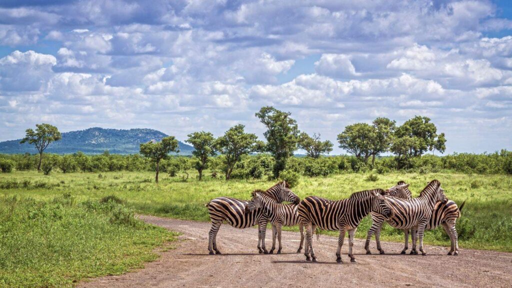 South Africa Unscripted